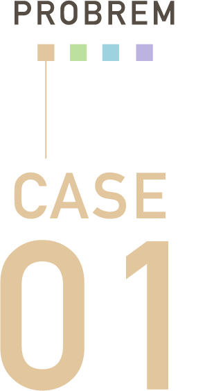 PROBREM CASE 01